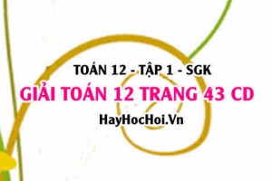 Giải Toán 12 trang 43 tập 1 Cánh Diều